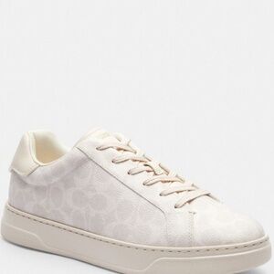 High Line Sneaker In Signature Canvas